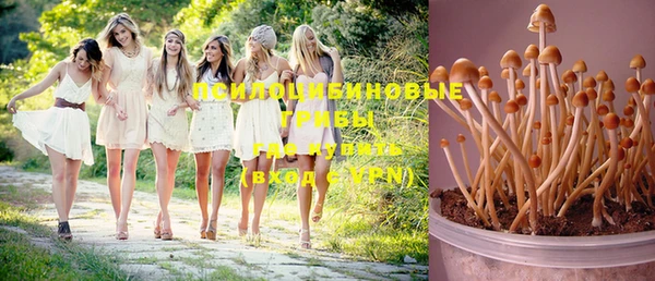 мескалин Кулебаки