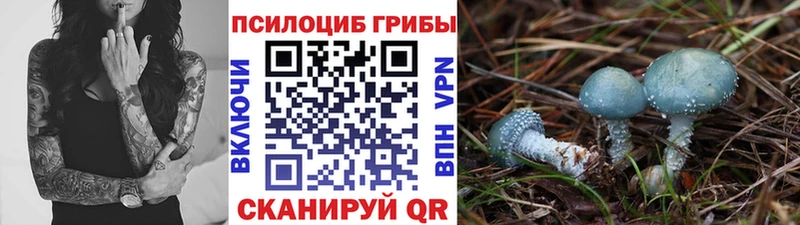 Псилоцибиновые грибы ЛСД  Купить  Усть-Илимск 